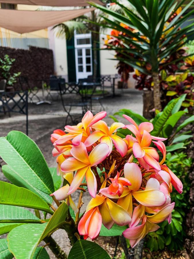 Guest house Aspa - Alegria Funchal (Madeira)